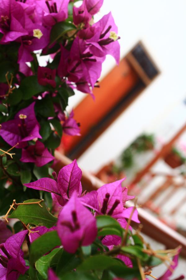 Amaru Hotel Huaraz Buitenkant foto